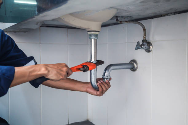 Best Residential Plumbing Services  in Rensselaer, IN